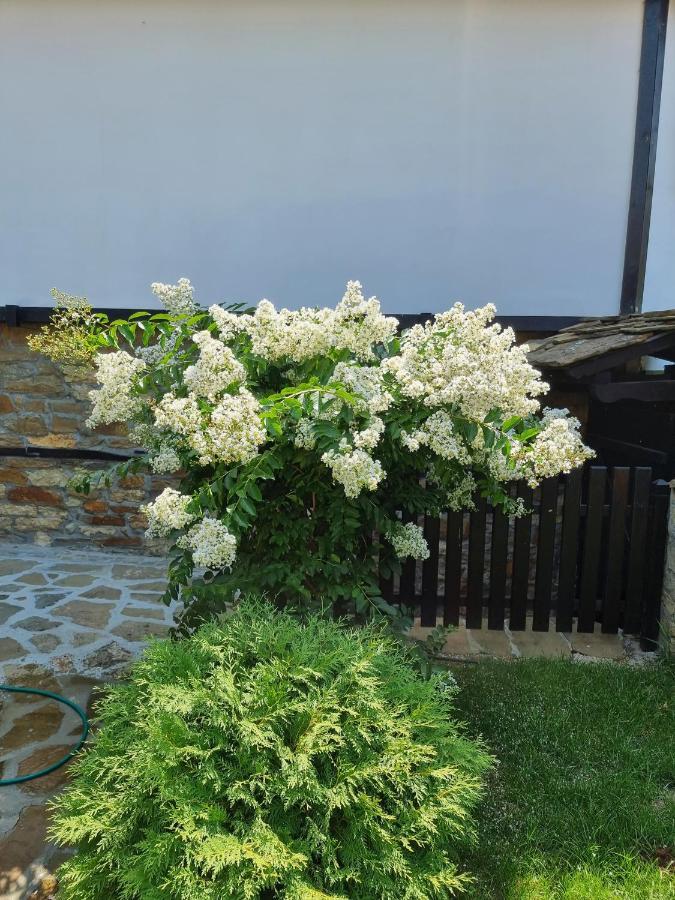 Семеен Хотел Чардаците Lowetsch Exterior foto